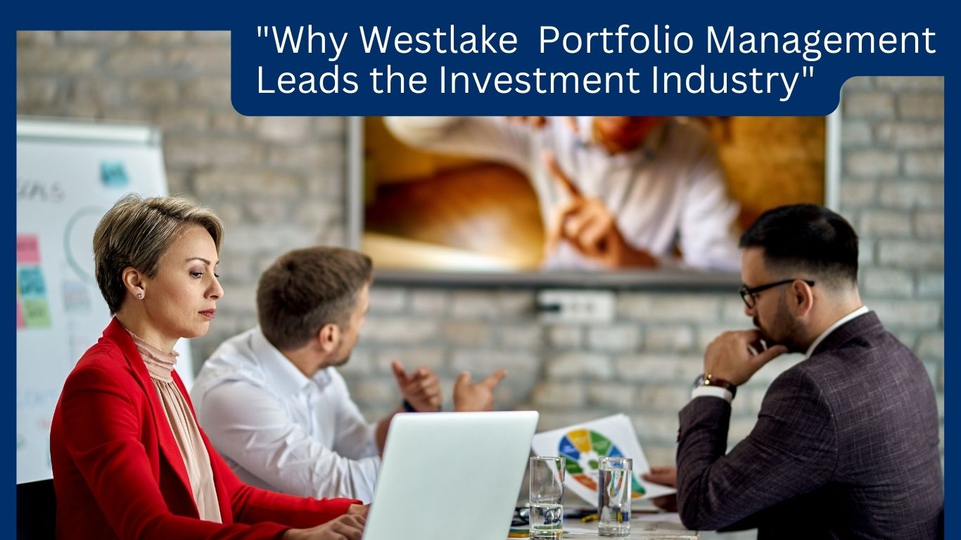 Why Portfolio management company is important